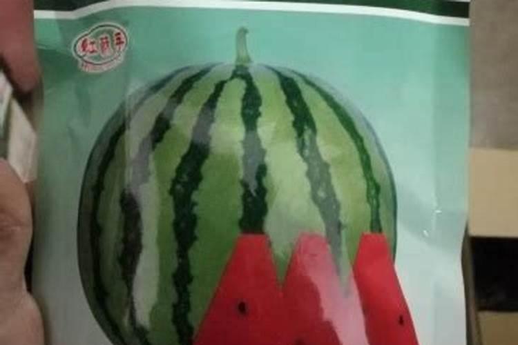 西瓜栽培时间和方法(西瓜栽培全攻略,掌握最佳时间与方法,收获甜美果实...