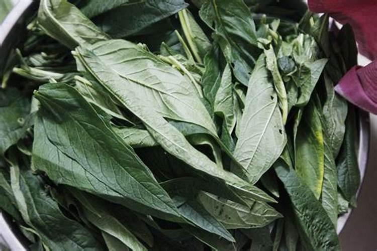 芝麻开花期间有哪些相关管理技巧？