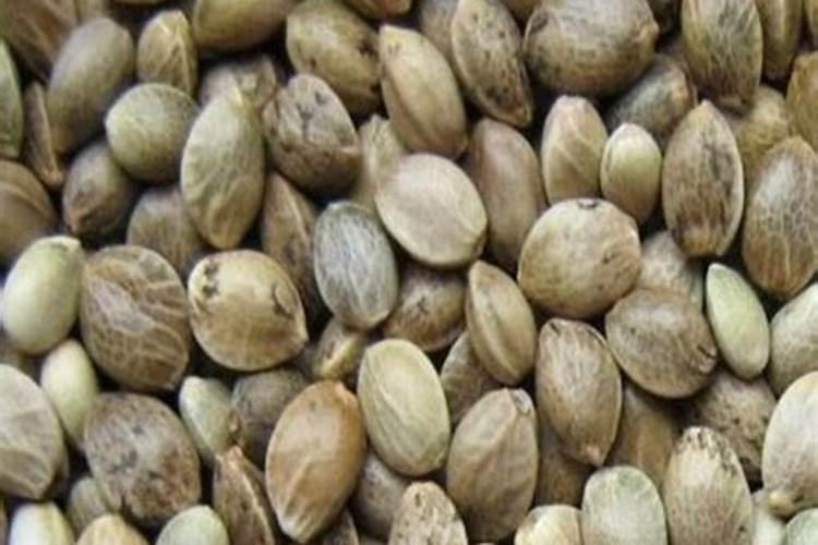 自己在家怎么自制氮肥和钾肥？需要用到哪些材料？