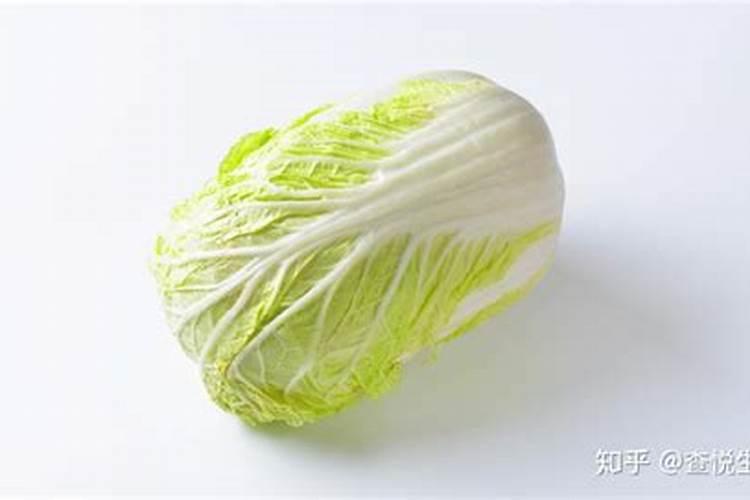 白菜的各营养成分的比例