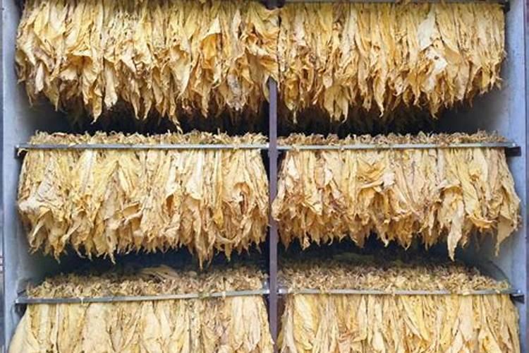 一亩烤烟用多少钾肥 什么时候施钾肥好