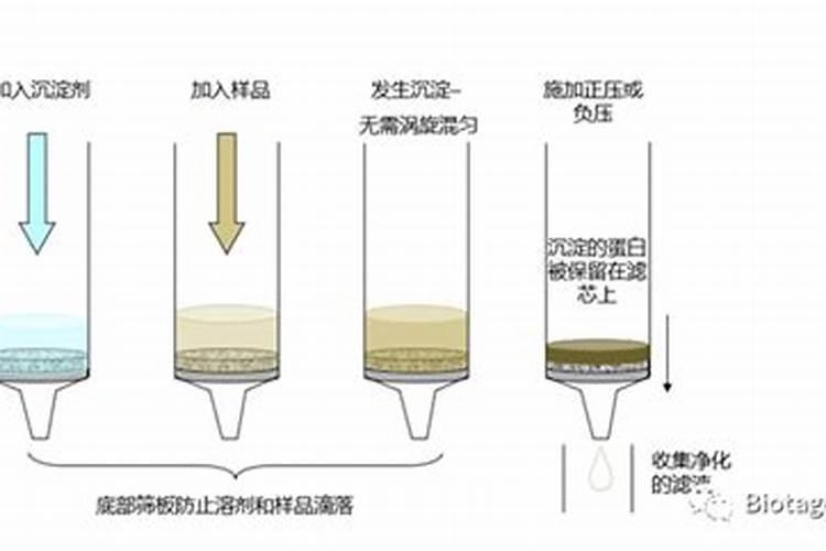 安康鱼体内的白色颗粒物是什么？