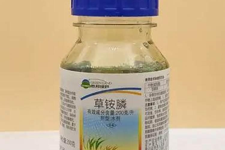 叶面肥隔几天喷一次最合适