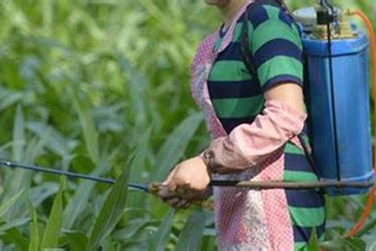 过期椰子汁有什么用 椰子汁过期还有什么用途