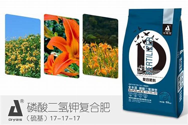 流体硅与糖醇硅哪个好