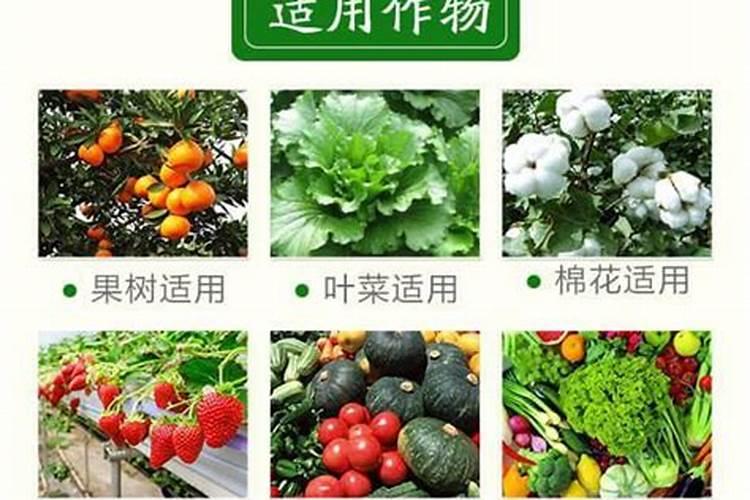 腐烂花生秸秆叶玉米秸秆能否养花1