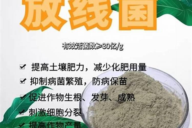 鸡粪发酵有机肥用什么菌种比较好？