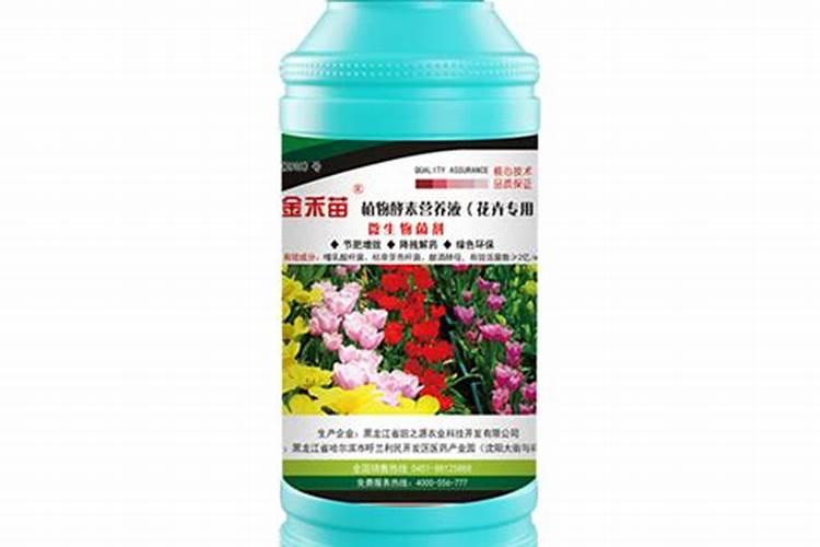 长寿花专用肥仙客来花肥