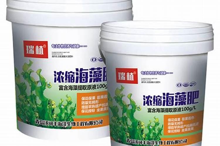 海藻精的正确使用方法