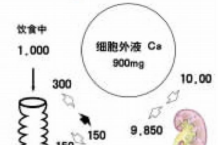 木炭钙化是什么意思？