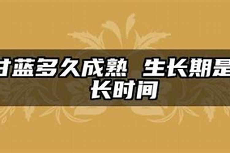 最近甘蓝长势比较慢,结球也比较小,该用点什么肥呢？