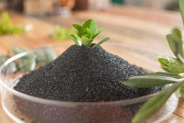 植物移栽用矿源黄腐酸钾与复硝酚钠那个能促进生根？