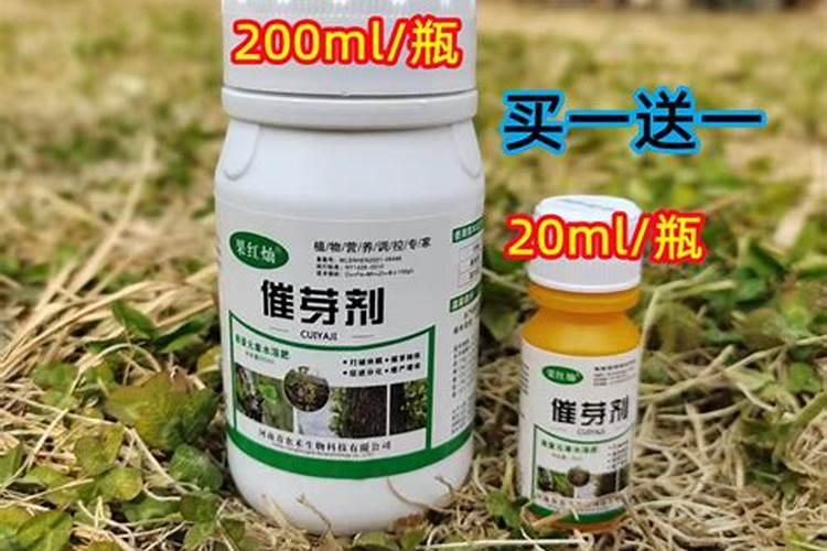 猕猴桃用什么肥料好