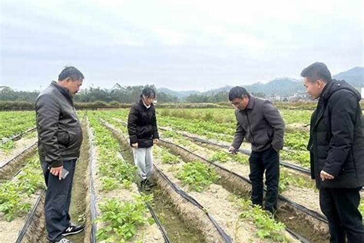 在晚秋,农民用什么办法老防御霜冻对作物的危害？应用的什么原理？