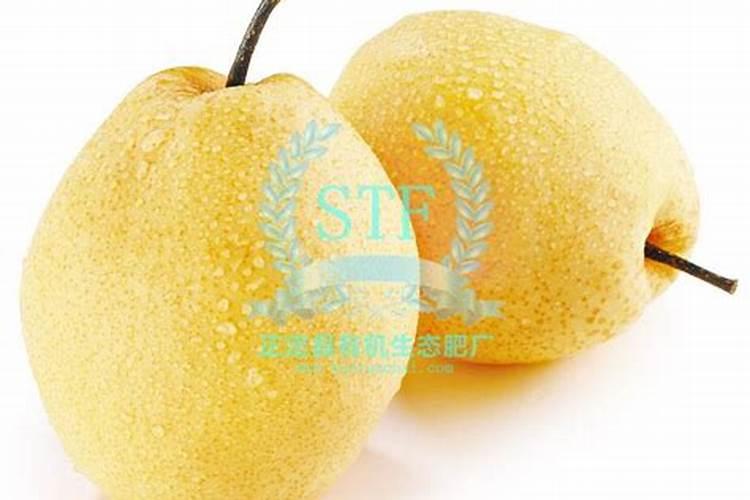 种生姜需要什么肥料