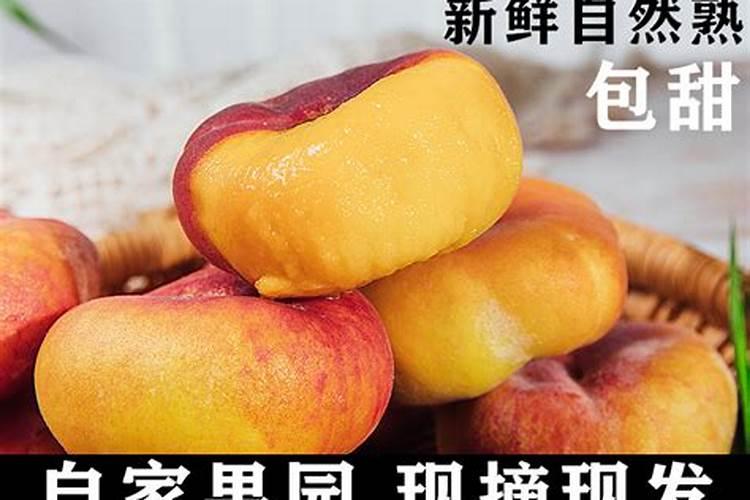 桃树用什么肥料桃子甜 施肥注意事项有哪些