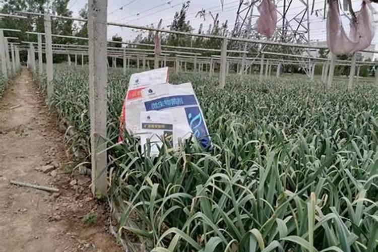 微生物菌剂可不可以与尿索二铵钾肥一起混用微生物？