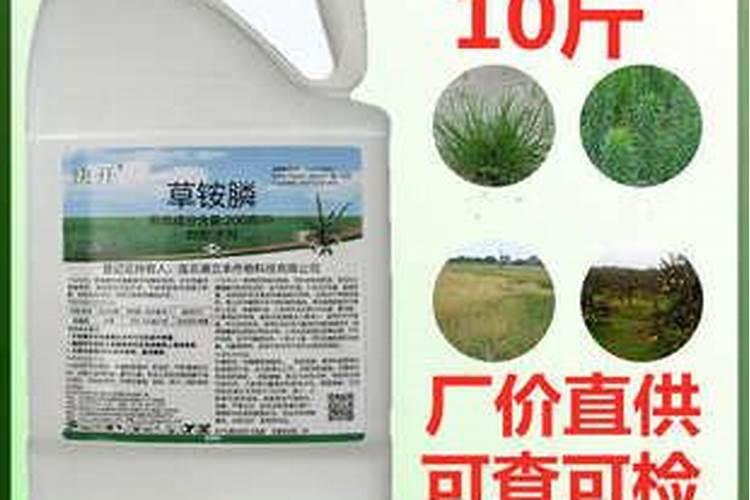 柑桔苗芽前除草用什么药