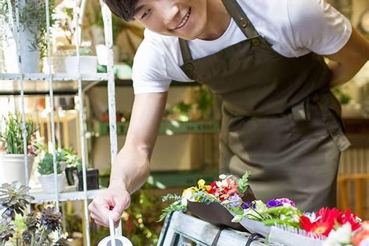 目前市面上有没有好一点的叶面肥,安全无激素的主要用在月季,玫瑰花上面...