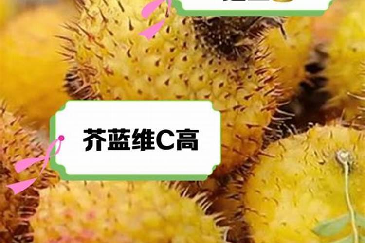 哪些植物需要钾肥