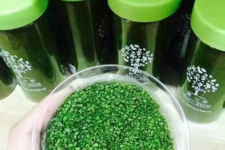 当年移栽的石榴树能施肥吗？