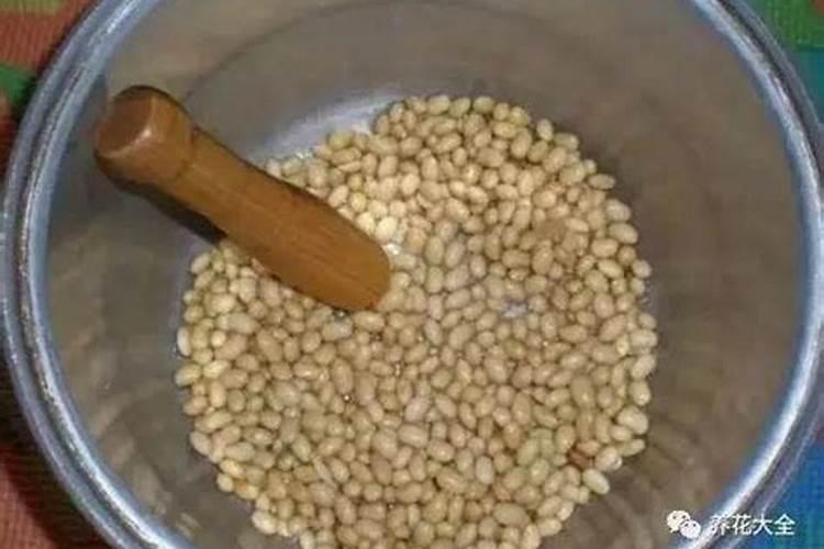 黄豆盛花期可不可以打叶面肥,大,黄豆开花期,能不能打叶面肥？