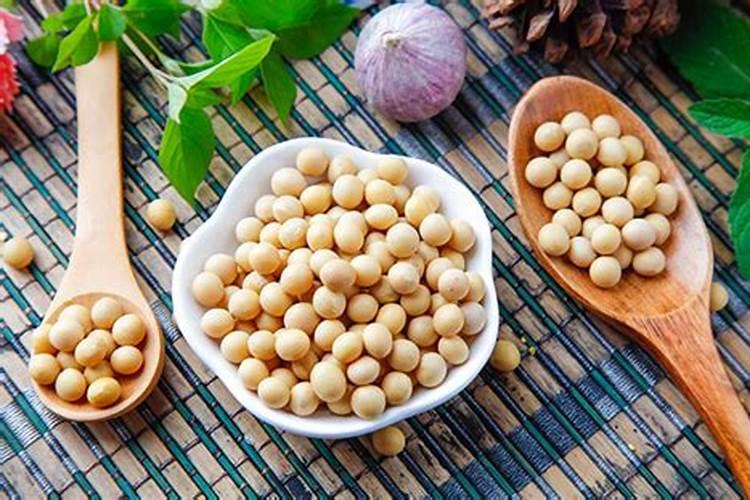 种黄豆该怎么种？