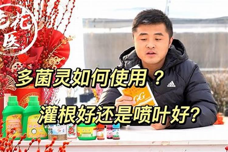 花生烂根死苗怎么治