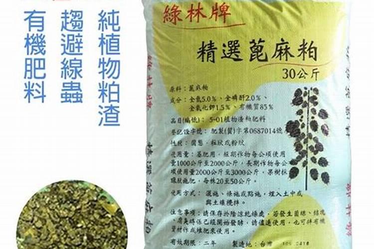 请教养兰高手用做君子兰肥料的(麻子)是蓖麻子吗