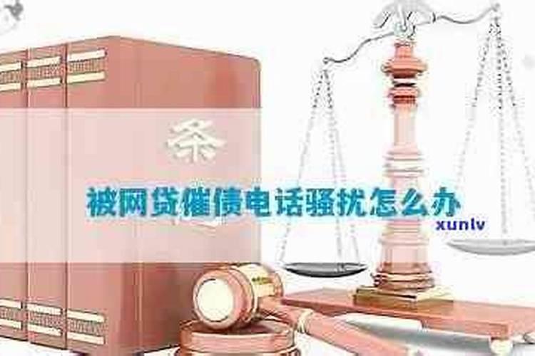 茶叶如何施肥