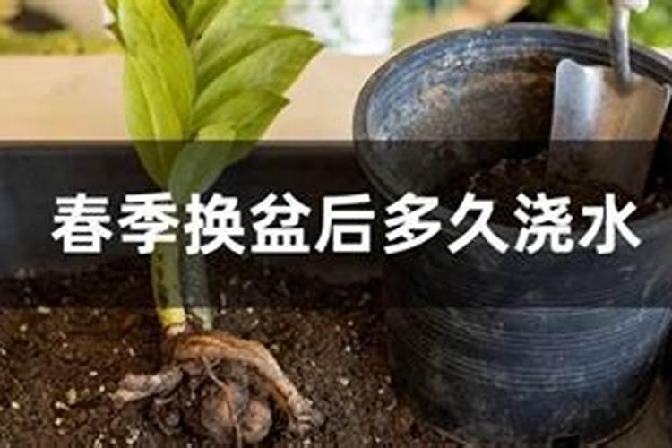 湖北恩施硒食堂传销吗
