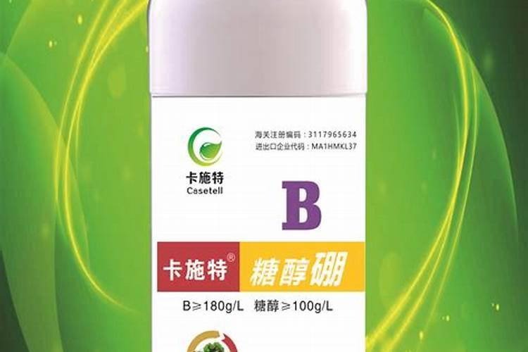 松树叶可以做肥料吗