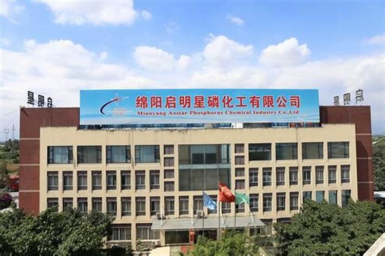 中国化肥前二十名