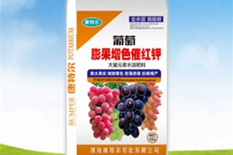 葡萄怎样催红