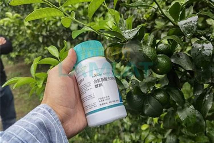 硼肥的使用方法与用量