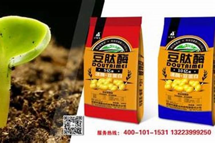 怎样给果树施用稀土微肥