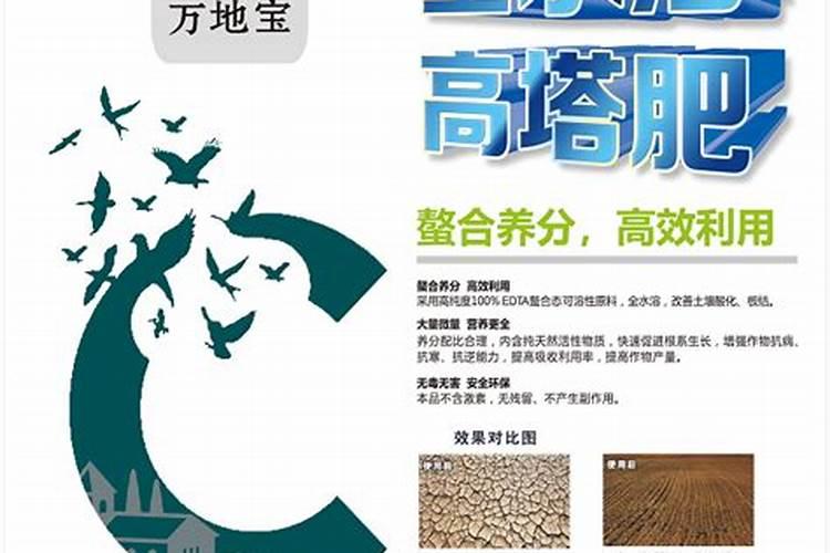 中国钾肥前十名上市公司