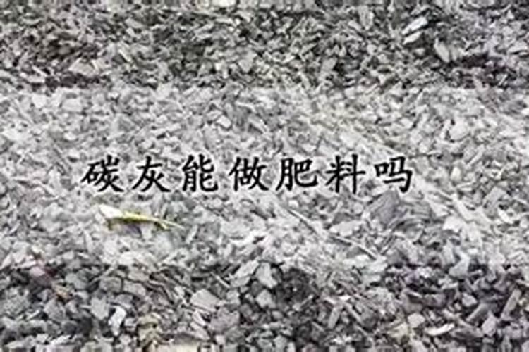 烧过的钱灰可以做肥料吗？