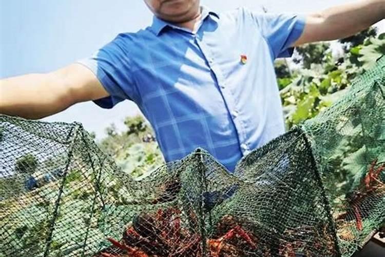 种莲藕用什么肥料好