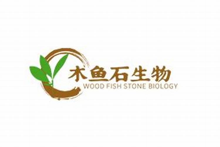 木鱼石生物科技是大品牌吗