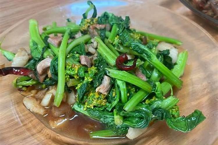 白菜苔生长期耐肥吗？