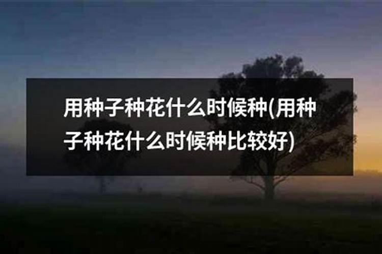 种花后多久可以施肥