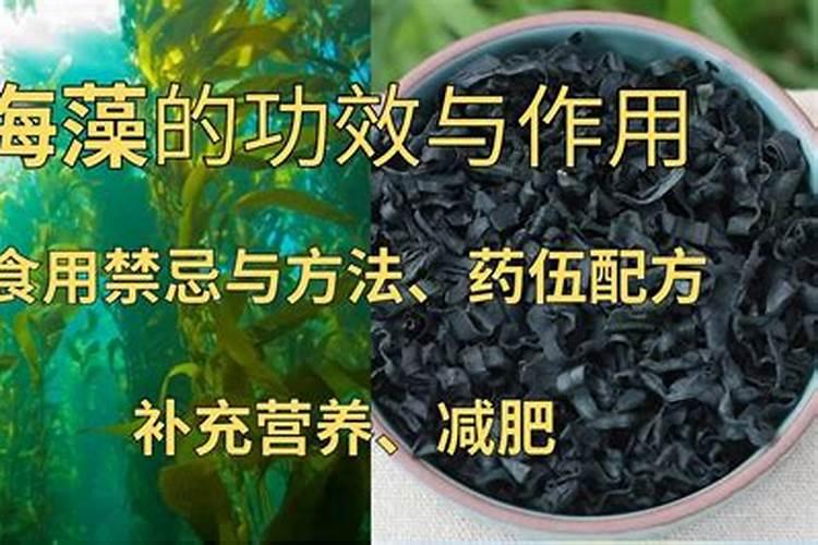 海藻肥的功效与作用
