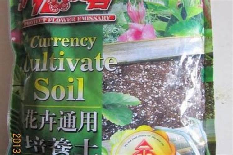 可以给茶花浇灌尿素吗