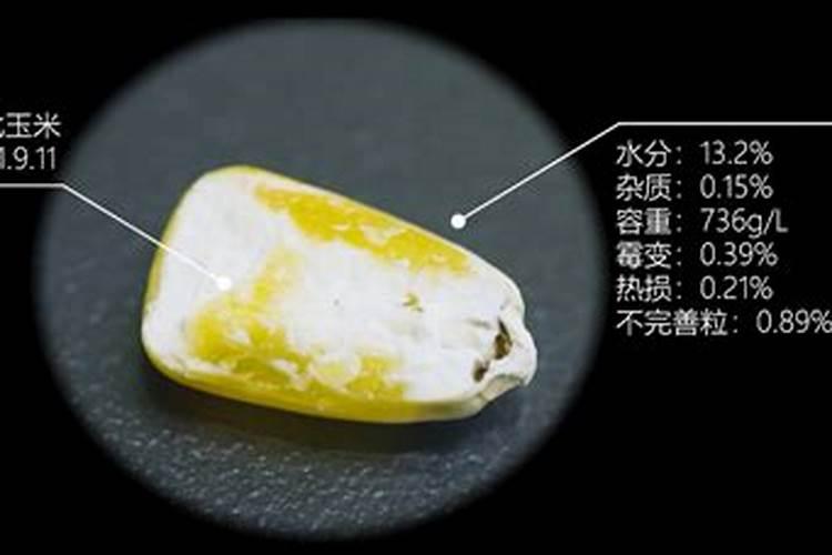 播种机怎样给玉米追肥好？