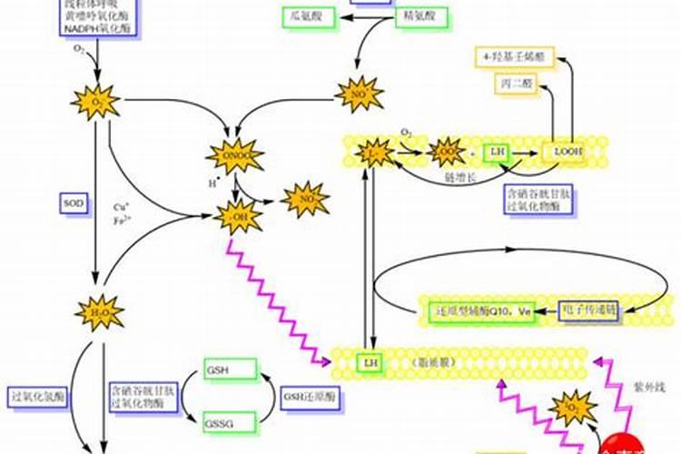 硫酸铵钾肥料怎么样