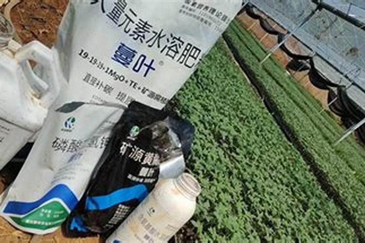 如何辨别水溶肥料的好坏
