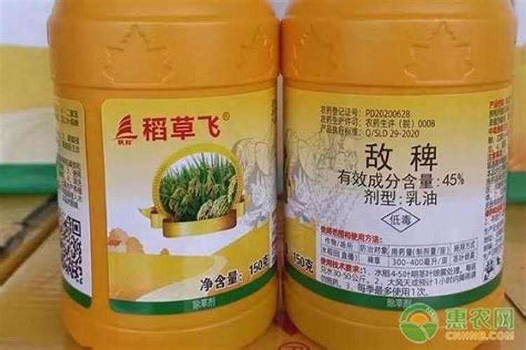 水稻的种植过程