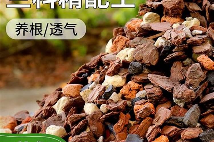 虎皮兰怎么施肥