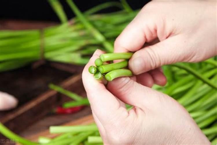 蒜苔施肥用什么肥料